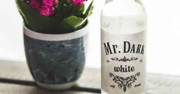 外国语单招大数据的行业文章