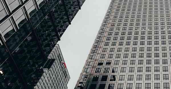 外国语单招大数据的行业文章