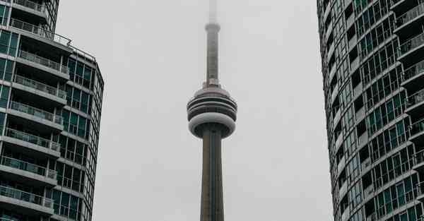 人工智能机器学习联盟：改变未来的创新力量