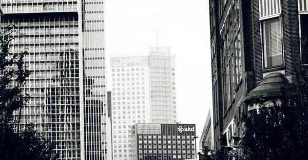 二白智能机器人起床