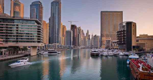 全自动智能宠物机器人 宠物机器人COZMO