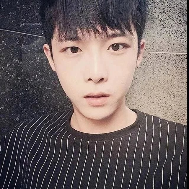 颜菊林姬