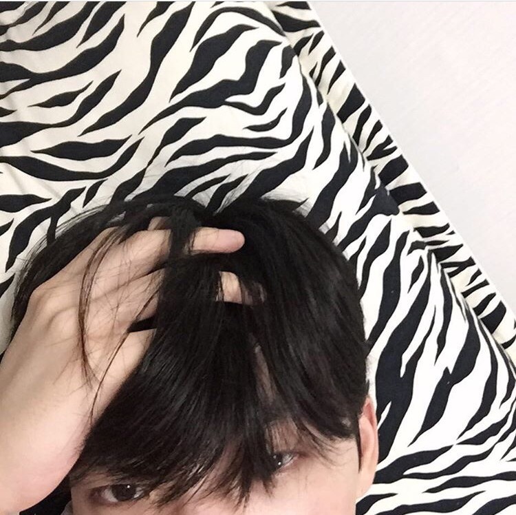 高克慧菁
