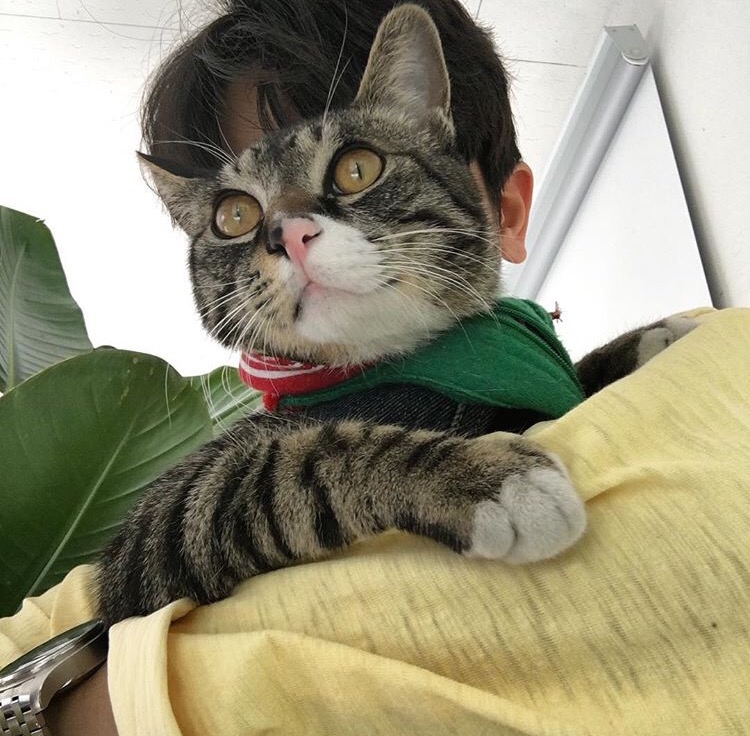 许学梁琰