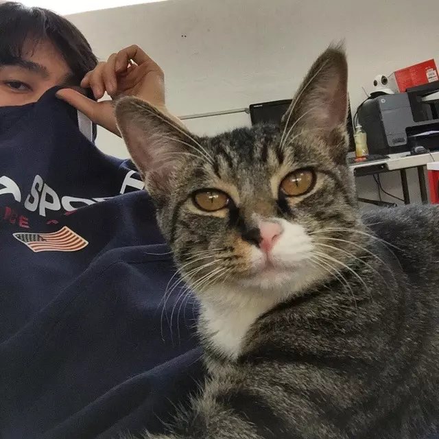 石晨英红